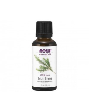 Óleo essencial de Tea Tree melaleuca 1oz 30ml NOW Foods