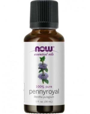 PENNYROYAL OIL 1oz NOW Foods