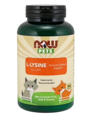 L Lysine for Cats para gatos em pó 8oz 226g NOW Pets