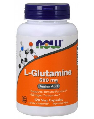 L Glutamine glutamina 500 mg 120 Capsules NOW Foods