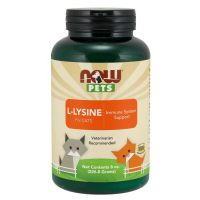 L Lysine for Cats para gatos em pó 8oz 226g NOW Pets